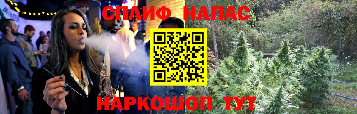 Шишки марихуана OG Kush Горячий Ключ